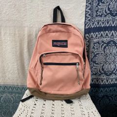 JANSPORT リュック ピンク スエード底 値下げ交渉可 - メルカリ