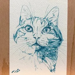 ペン画　手描き　猫　ハガキ　272 絵画
