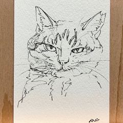 アンディ・ウォーホル Andy Warhol 猫 ブルー サム ポストカード