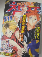 ハイキュー 劇場版 ゴミ捨て場の 決戦 チャンプ 特別版