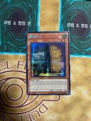 MTG 親身の教示者 中国語 - メルカリ
