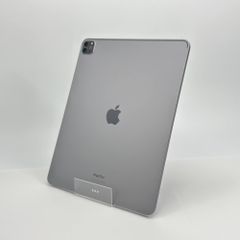 iPad Pro 11インチ Wi-Fi 256GB シルバー MTXR2J/A 【C7416-60