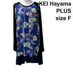 ◇ ケイハヤマプリュス KEI Hayama チュニック 長袖 ボートネック カットソー トップス  プリント 紺 青 毛混 F M 9号 レディース Z6C062のサムネイル