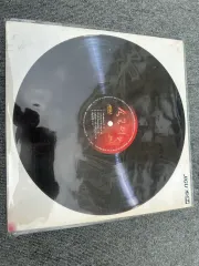 ペレグリン・ファルコン 五 指先パペット -今日この頃 ／ 集まれ 1990 ） 開封 LP 出品