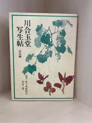 2026年最新】川合玉堂の人気アイテム - メルカリ