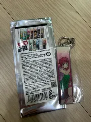 サカモトデイズ サカデイ ルー リバーシブル メタルキーホルダー アクリルキーホルダー グッズ