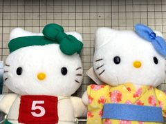 サンリオハローキティ ぬいぐるみ 着ぐるみ 浴衣 運動会 2体セット 
