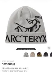 ARC'TERYX ニットビーニー グレー - メルカリ