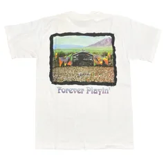 未使用品 デッドストック M 90s GREATFULL DEAD Tシャツ グレイトフルデッド anvil アンビル シングルステッチ