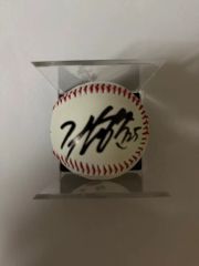 キム・ヒョンジュン 直筆サイン入りビーチボール WBC 韓国代表 1番サード キム・ドヨン 直筆サインボール 背番号5