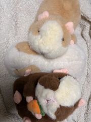 小動物 小型 哺乳類 有袋類 リス モモンガ 巣穴 ぬいぐるみ 昔