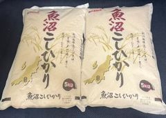 食品 おまけ増量 新潟こしひかり 5kg×2 10kg