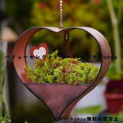 多肉ちまちま寄せ植え✿ワイヤーハンギング✿そのまま飾れます 多肉ちまちま寄せ植え✿ワイヤーハンギング✿そのまま飾れます - メルカリ