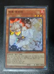 遊戯王　灰流うらら　アジア 遊戯王 灰流うらら【シークレットレア】 レアリティ・コレクション