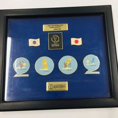 2002 FIFAワールドカップ 韓国/日本™ 記念品 ピンバッジセット 額入り