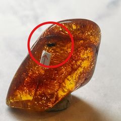 わたらせ樹脂工房 花梨瘤ブドウ杢 シマノ 左用 - メルカリ