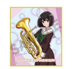 響け！ユーフォニアム 御朱印帳 川島緑輝 コントラバス - メルカリ