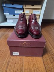 新品 40万円 カルミーナ 6 最上位クロコダイル 別注アップグレード