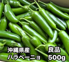 特別栽培】沖縄県産良品 激辛青唐辛子ホットパラソル500g⭐️12時間