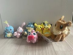 ポケモンfit まとめ売り ジョウト カントー 2018年〜2019年 旧タグ