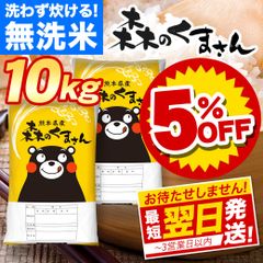 TENORIKUMA クリアファイル ホラーカフェ限定デザイン てのりくま レア