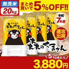 新品 未開封 令和7年産 熊本県産 甲佐町のお米 5kg×4袋 合計20kg