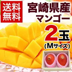 宮崎県産 完熟マンゴー マンゴー 2玉 化粧箱入り (Mサイズ:約240g～約309g) 送料無料 健康 ギフト プレゼント フルーツ 食べ物 贈答 旬 の 果物 贈答用 プレゼント 季節 熊本 《7-14営業日以内に発送予定（土日祝除く）》のサムネイル