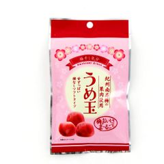 高知産 夜須の温室マスクメロン 約9，0Kg 6玉 家庭用 北海道沖縄