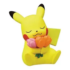 【ピカチュウ】ポケモン ぽかぽかびより2