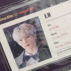 Stray Kids(ストレイキッズ・スキズ・SKZ) スキズ skz-x 1期ファンミーティング アイエン(I.N・ジョンイン) はがき IDカード ファイル