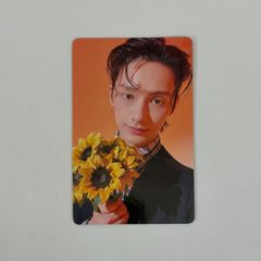 SEVENTEEN セブンティーン セブチ 一直娱 yizhiyu yzy ヨントン トレカ