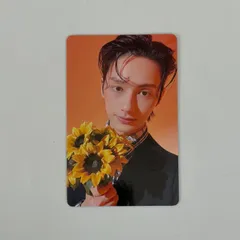 SEVENTEEN ジュン ヨントン トレカ 2026年最新】seventeen ジュン ヨントンの人気アイテム - メルカリ