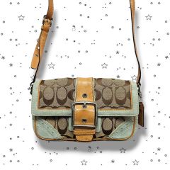 極美品/SOHO!!コーチ リストレットポーチ ソーホー Y2K グリーン