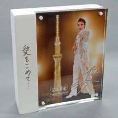 EYEVAN 宝塚歌劇団 ミニフォトブック 2冊 非売品 朝美絢 望海風斗