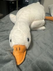 ま*）様 ニトリ アヒル 抱き枕 頭蓋骨陥没してるかわいい子 - メルカリ