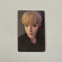 SEVENTEEN セブンティーン セブチ 一直娱 yizhiyu yzy ヨントン トレカ ドギョム