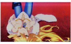 [중고] 아크릴 스탠드 아크릴 패널 눈금자/알토리아 펜 드래곤(수영복) [Fate/Grand Order Fes. 2024 9th Anniversary 랜덤 아크릴 블록 <미참!