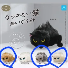 まとめ 怒った猫 ゴー 有馬 かな ぬいのサムネイル