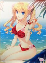 【★】ToLOVEる 原画展 クリアポスター　金色の闇 ヤミ　モモ　水着 もっしー様専用】ToLOVEる 原画展 クリアポスター モモ 金色の闇 水着