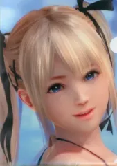 2026年最新】Dead Or Alive xtreme venus vacationの人気アイテム 