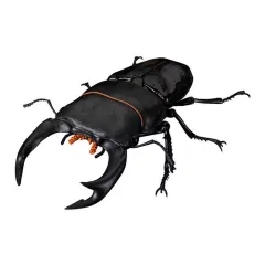 【中古】トレーディングフィギュア オオクワガタ 「いきもの大図鑑アドバンス クワガタ02」