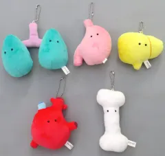 【中古】雑貨 全5種セット ボールチェーン付きにんげんのからだぬいぐるみ 「FANS」のサムネイル