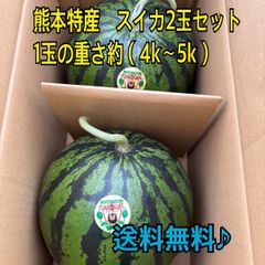 西瓜スイカ 美味しい 特大 2玉入り 箱込み16Kg - メルカリ