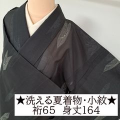 洗える夏着物・絽・小紋】裄68 身丈165.5 袖49 化繊 夏物 盛夏 黒地に