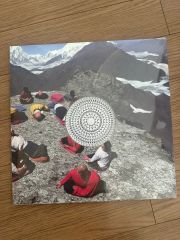 HYUKOH 落日飛車 AAA アナログ レコード LP Vinyl ヒョゴ - メルカリ