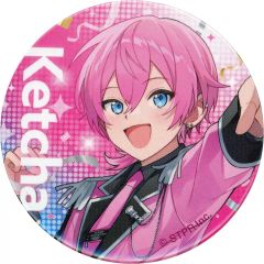 けちゃ 缶バッジ すとふぇす2025 - メルカリ