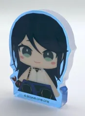 【中古】アクリルスタンド・アクリルパネル 星乃一歌 「プロジェクトセカイ カラフルステージ! feat. 初音ミク マイセカイ ぬいぐるみver アクリルフィギュアコレクション B Leo/need＆25時、ナイトコードで。」