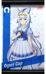 2026年最新】ウマ娘 プリティーダービー ミニタペストリー Vol.4の人気
