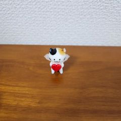 至宝の逸品】富貴蘭 月影 - メルカリ