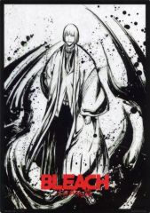 [중고] 클리어 포스터 A3 클리어 포스터 히라코 마코 [이치 반 복권 BLEACH-블리치- 천년 혈전편 OP.2] D상